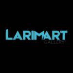 larimart gallery Profile Picture