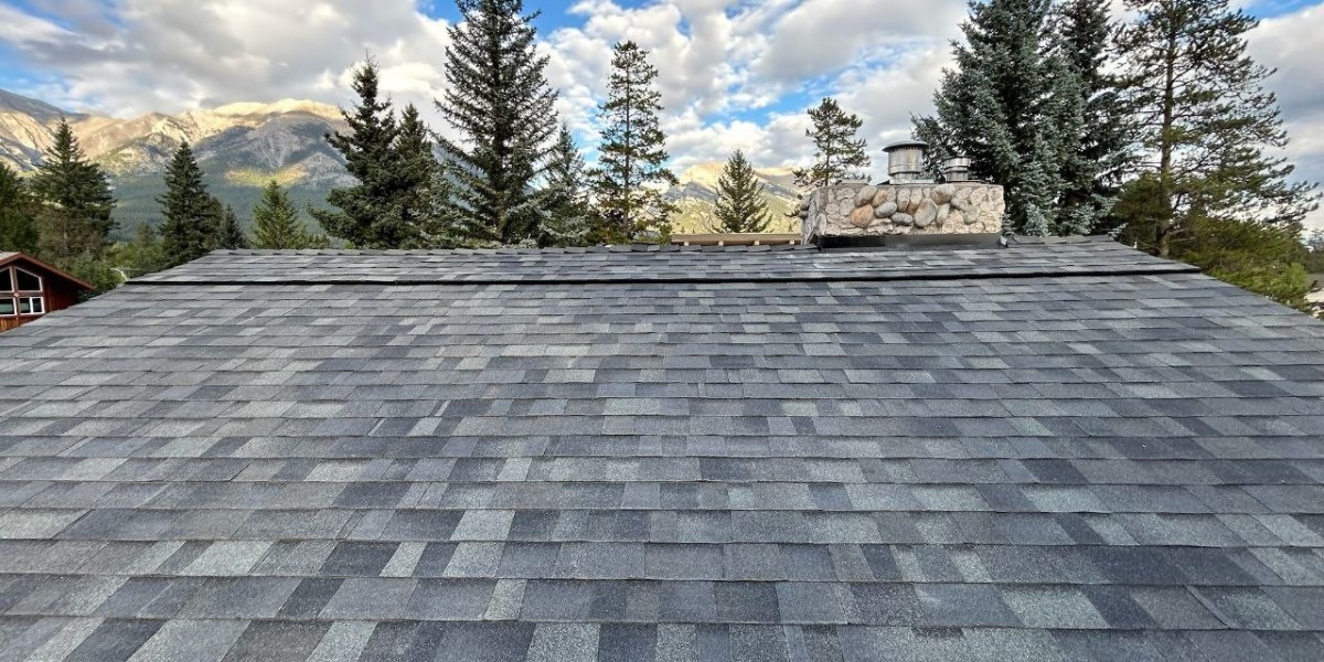 Sure West Roofing Your Trusted Partner Among the Best Roofers in Calgary