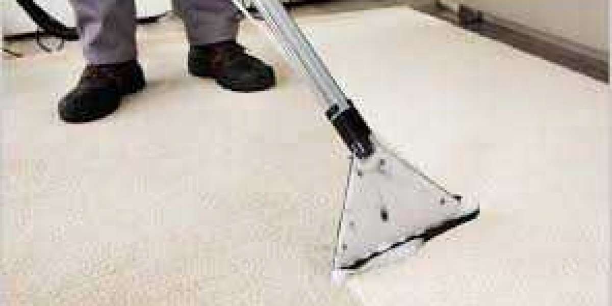 Why Carpet Cleaning Should Be a Priority for a Comfortable Home