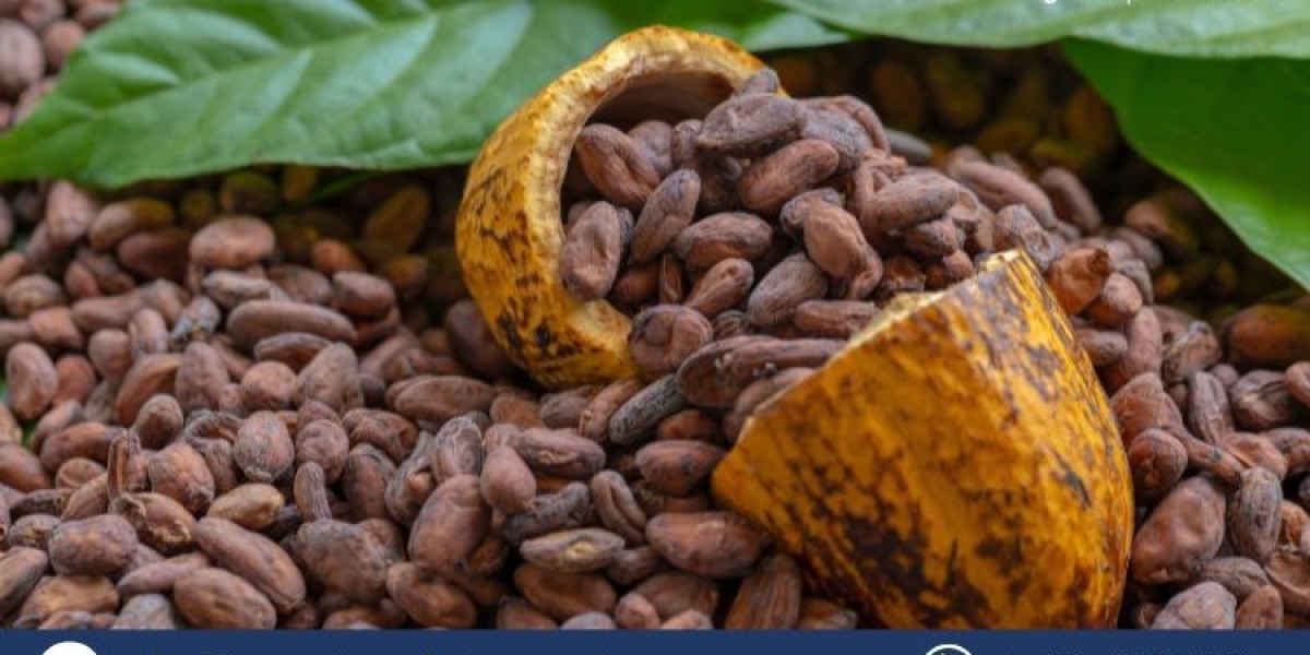 Cocoa Market: Growth, Trends, and Forecast 2024-2034