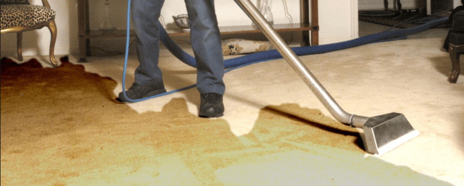 How to Know When You Need Carpet Drying