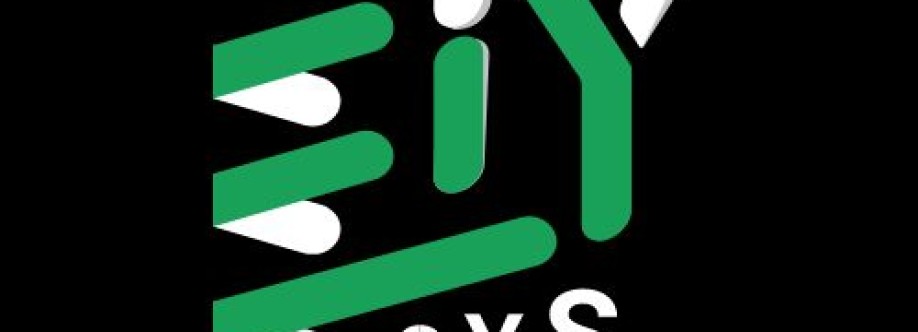 Eiy sys Cover Image