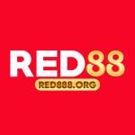 red88 8org Profile Picture