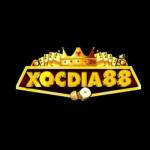 Xocdia 88 Profile Picture