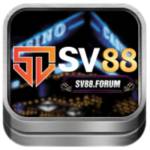 SV88 Profile Picture