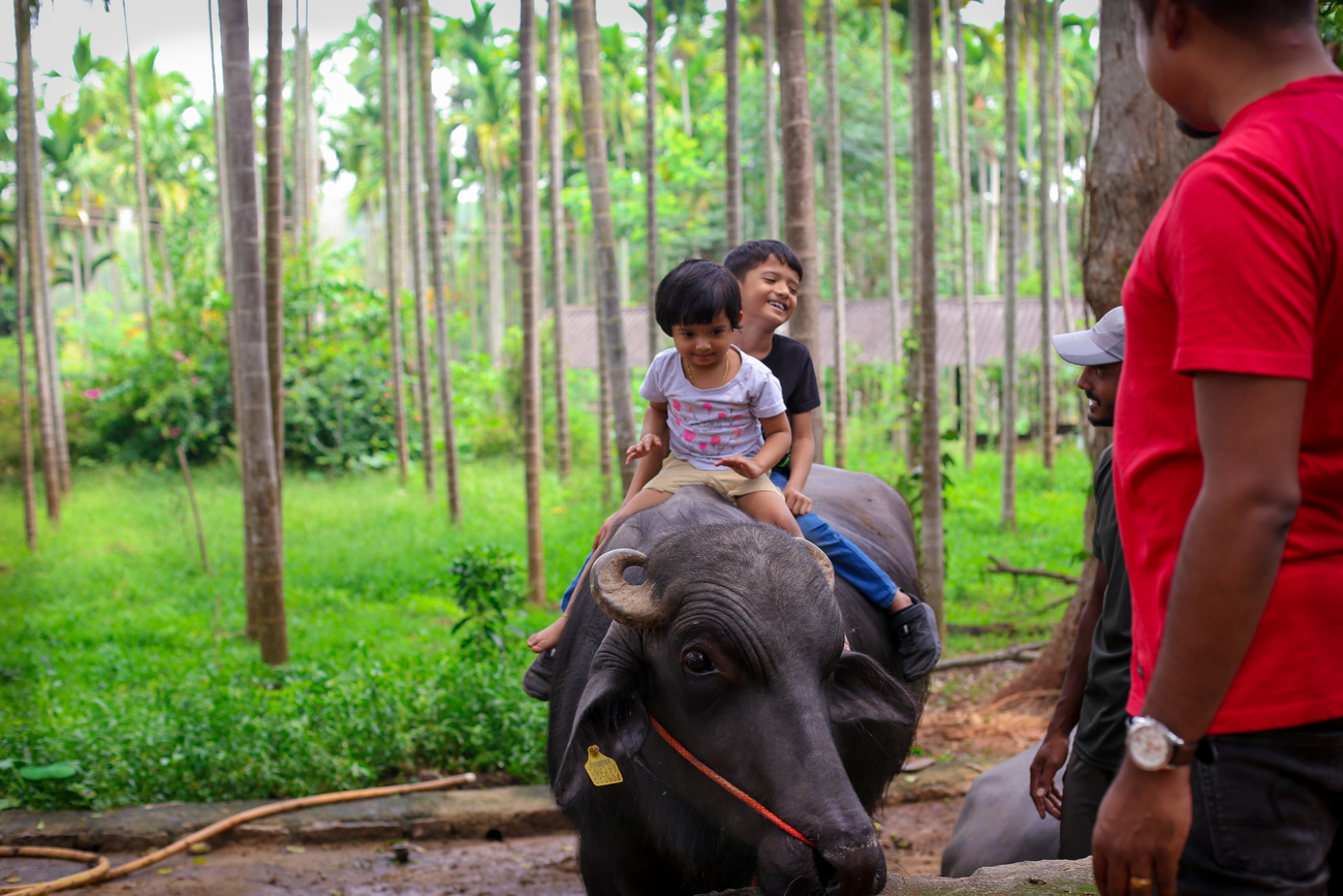 Farm Tour in Bangalore for Kids – A Fun & Educational Day at Big Barn Farm