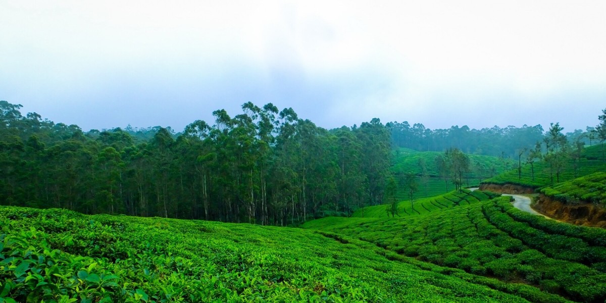 Top 10 Must-Visit Destinations in Kerala Tourism 2025