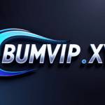 BUM VIP Profile Picture