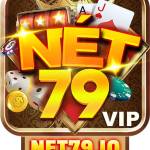 NET79 IO Profile Picture