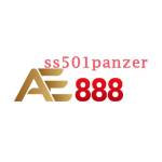 AE888 ss501panzer Profile Picture