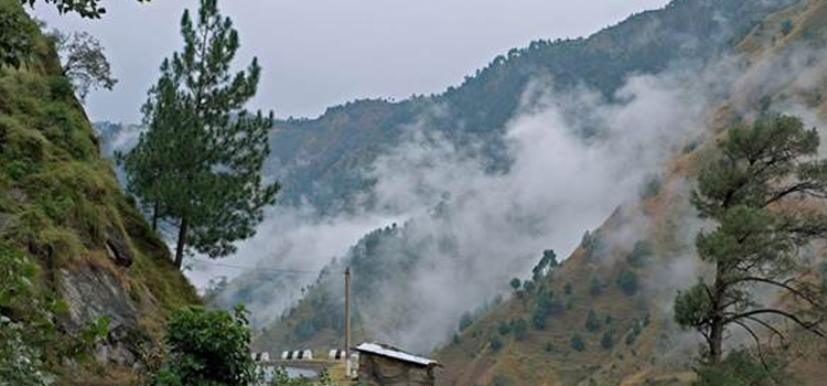 Kasauli Taxi Service at lowest cost {2025}