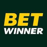 Betwinner Casino Profile Picture