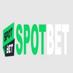 SPOTBET CX profile picture