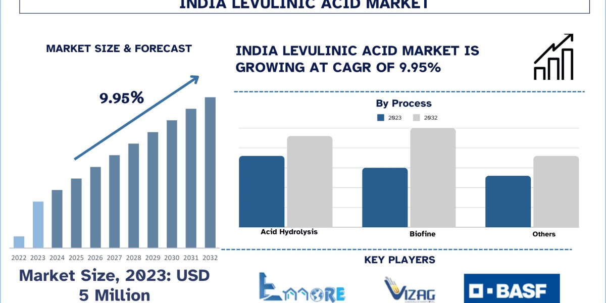 India Levulinic Acid Market share, Trend, Forecast and Research Report 2032