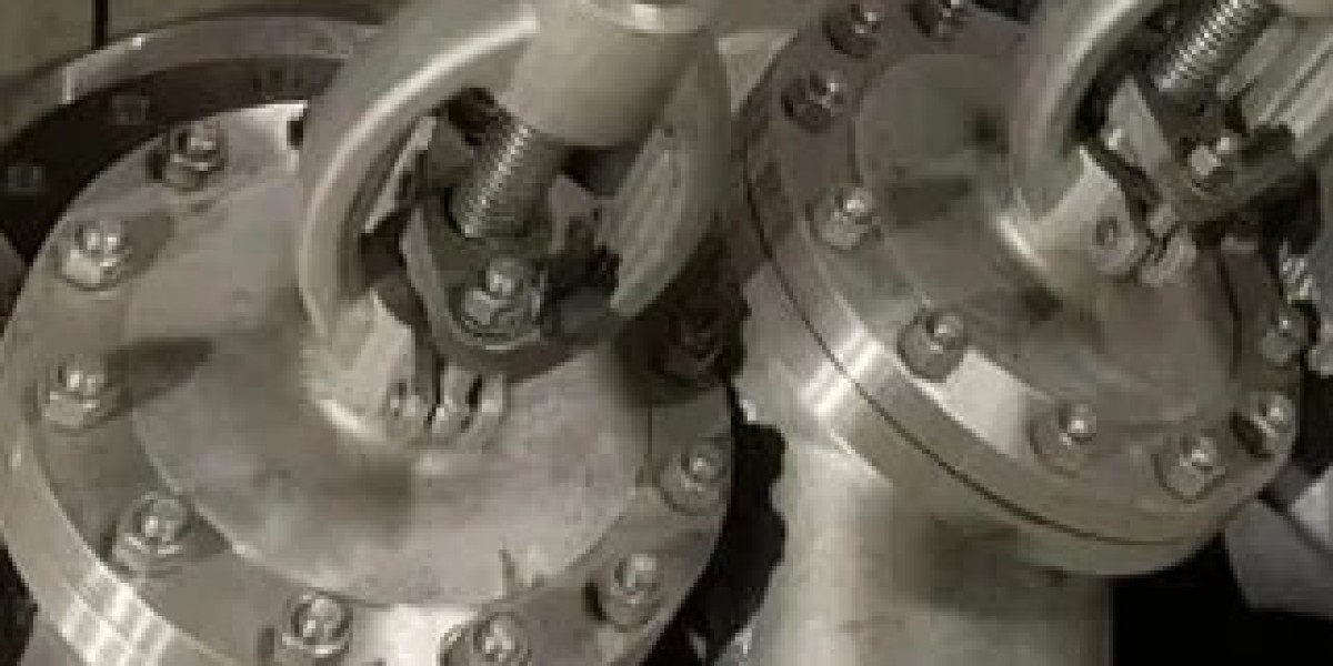 Alloy 20 globe valve