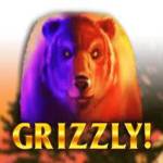 Grizzly Bonus Profile Picture