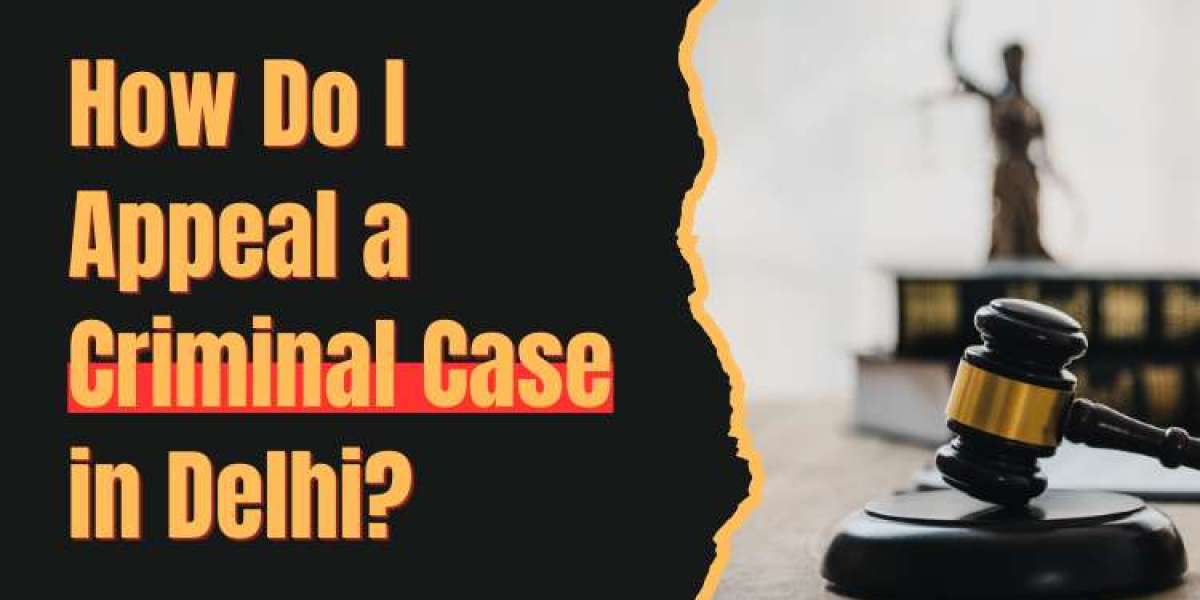 How Do I Appeal a Criminal Case in Delhi?