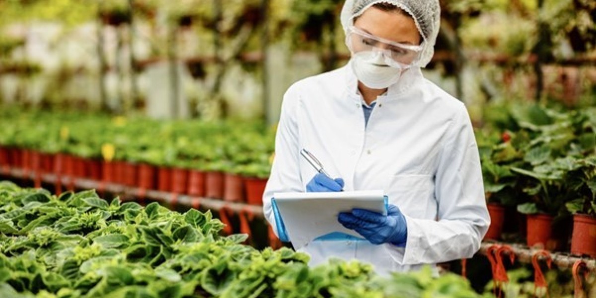 HACCP Certification: Ensuring Food Safety and Compliance