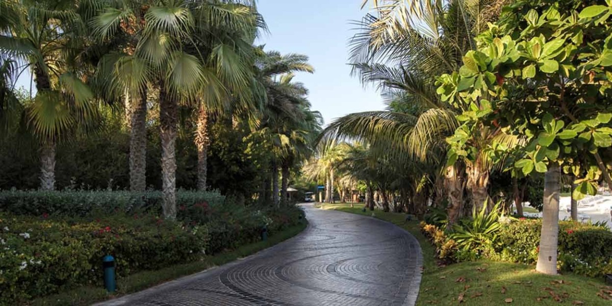 Discover Karama Park: A Green Escape in the Heart of Dubai