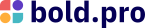 Thomas Kane - CEO - Bold.pro