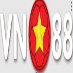 vn88 in Profile Picture