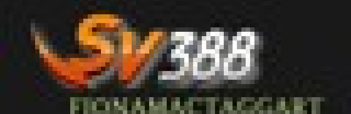 SV388 fion Cover Image