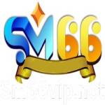 SM66 Profile Picture