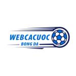 Trang Cá Cược Bóng Đá Profile Picture