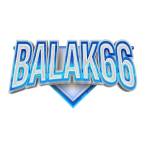 BALAK66 profile picture