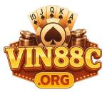 VIN88 Profile Picture