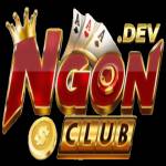 Ngonclub dev Profile Picture
