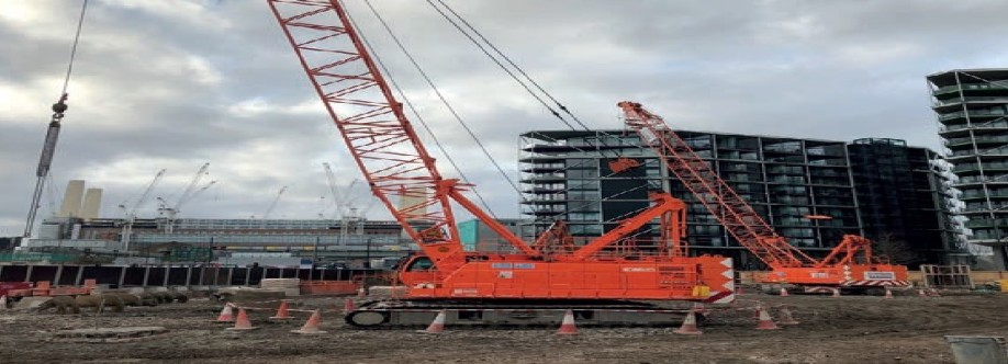 RADHA CRANES Cover Image