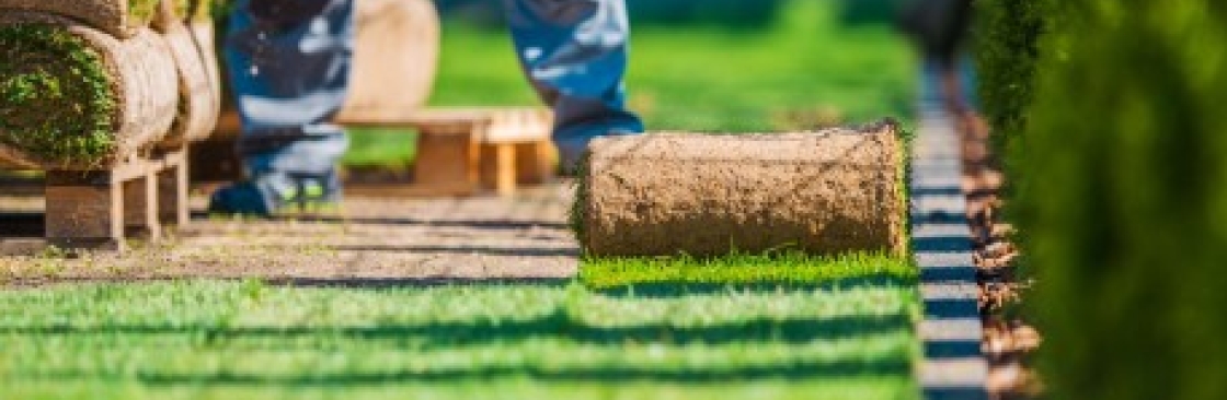 Turf Installation Sydney Cover Image