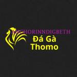 Đá Gà Trực Tiếp Thomo Profile Picture