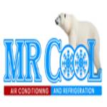 Mr Cool Profile Picture