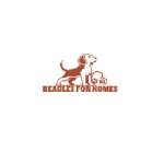Beagles For Homes Profile Picture