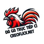 ĐÁ GÀ TRỰC TIẾP C1 Profile Picture