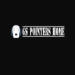 gspointershome22 Profile Picture