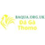 Đá Gà Trực Tiếp Thomo Profile Picture
