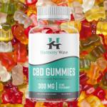 FoilakSajiu Profile Picture