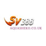 SV388 Aqua Profile Picture