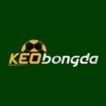 Kèo Bóng Đá Profile Picture