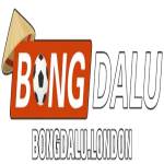 Nhà cái BONGDALU Profile Picture
