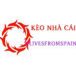 Kèo Nhà Cái Profile Picture