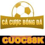 Cá cược bóng đá Profile Picture