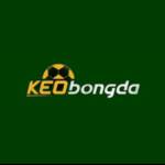 Kèo Bóng Đá Profile Picture