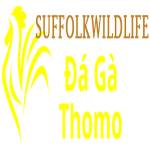 Đá Gà Trực Tiếp Thomo Profile Picture