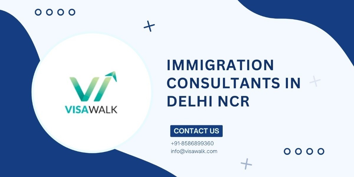 Immigration Consultants in Delhi NCR: Trusted Advisors for Your Global Dreams