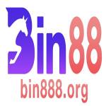 Bin888 Org Org Profile Picture
