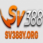 sv388y org Profile Picture